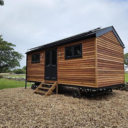 Woodland Shepherds Hut - 'Saga' Caernarfon Exterior foto