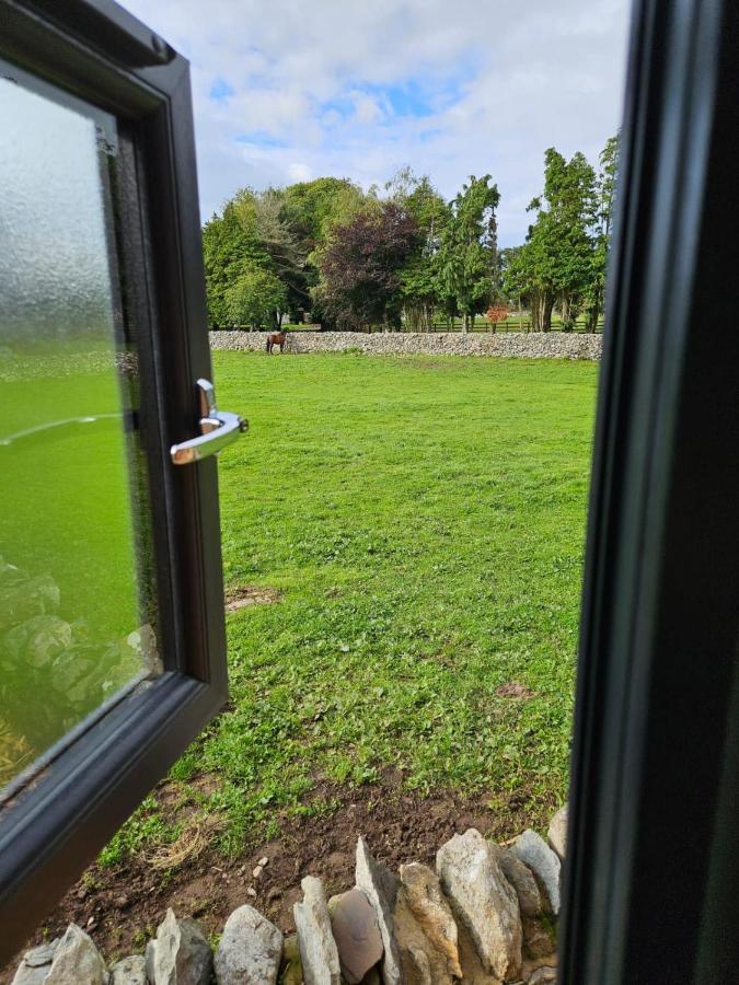 Woodland Shepherds Hut - 'Saga' Caernarfon Exterior foto