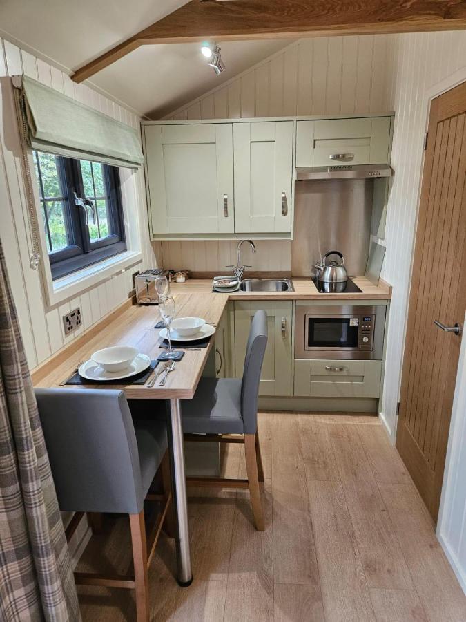 Woodland Shepherds Hut - 'Saga' Caernarfon Exterior foto
