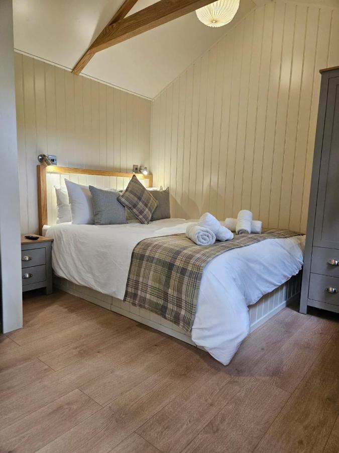 Woodland Shepherds Hut - 'Saga' Caernarfon Exterior foto