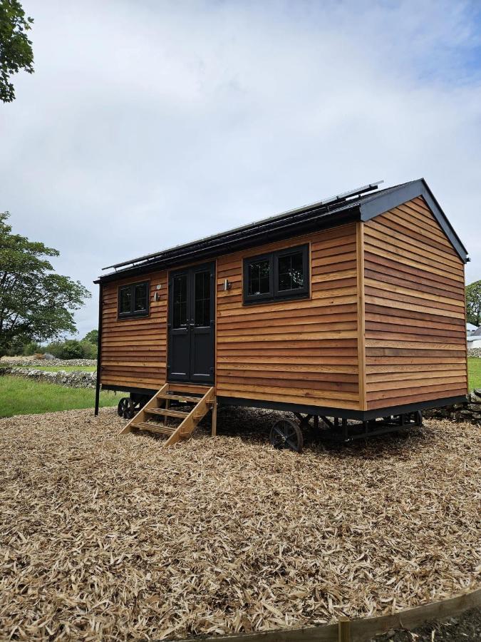 Woodland Shepherds Hut - 'Saga' Caernarfon Exterior foto
