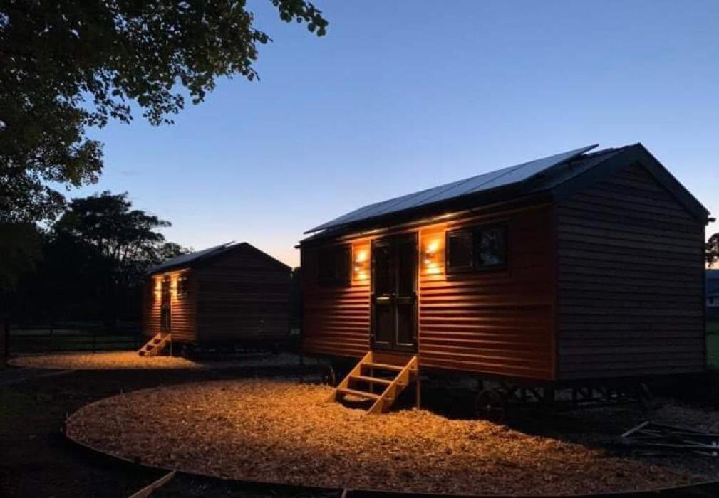 Woodland Shepherds Hut - 'Saga' Caernarfon Exterior foto